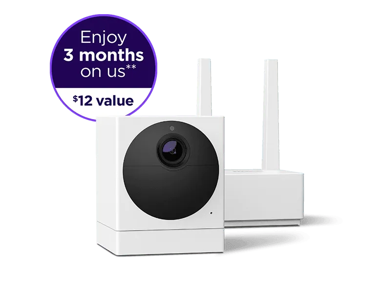 Roku Outdoor Camera